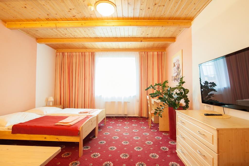 Sport-V-Hotel Hrotovice Rom bilde